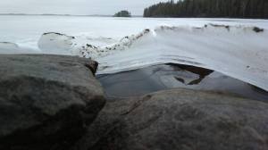 11080342_10153216603451660_3183330550891060640_o